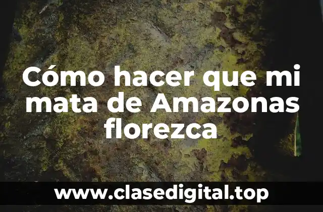 Cómo hacer que mi mata de Amazonas florezca