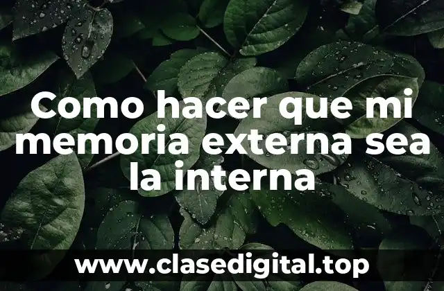 Como hacer que mi memoria externa sea la interna