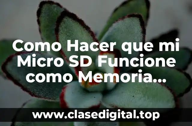 Como Hacer que mi Micro SD Funcione como Memoria Interna