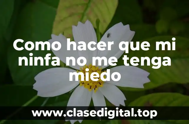 Como hacer que mi ninfa no me tenga miedo