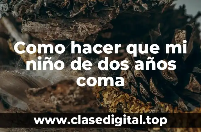 Como hacer que mi niño de dos años coma