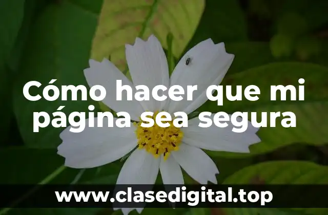 Cómo hacer que mi página sea segura
