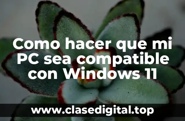 ¿Qué es Windows 11 y para qué sirve?