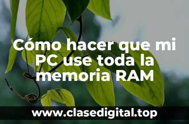 Cómo hacer que mi PC use toda la memoria RAM