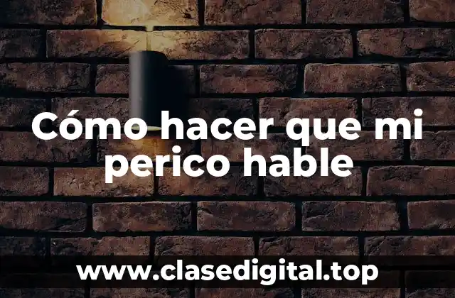 Cómo hacer que mi perico hable