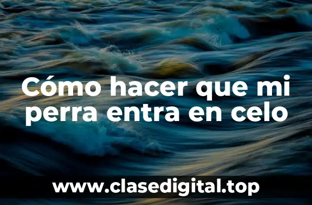 Cómo hacer que mi perra entra en celo