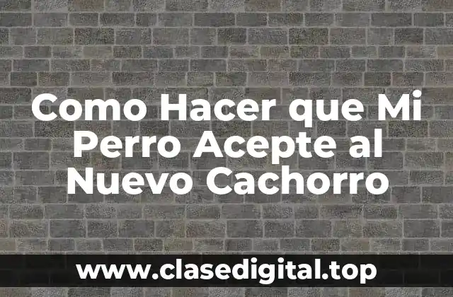 Como Hacer que Mi Perro Acepte al Nuevo Cachorro