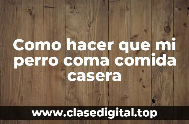 Como hacer que mi perro coma comida casera