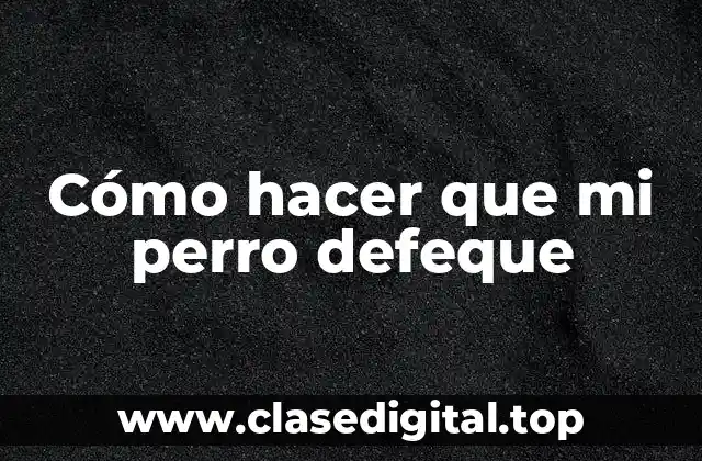 Cómo hacer que mi perro defeque