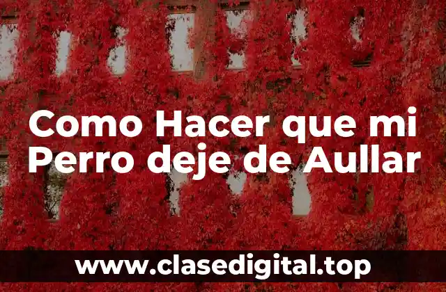 ¿Qué es el Aullido de los Perros y Por Qué lo Hacen?