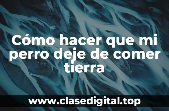 Cómo hacer que mi perro deje de comer tierra
