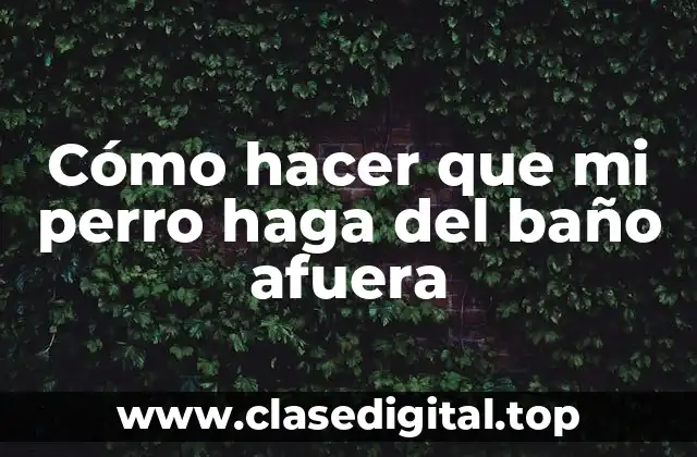 Cómo hacer que mi perro haga del baño afuera