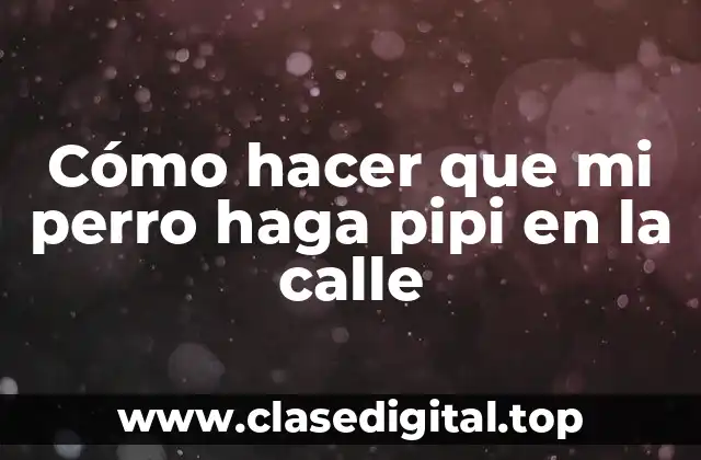 Cómo hacer que mi perro haga pipi en la calle