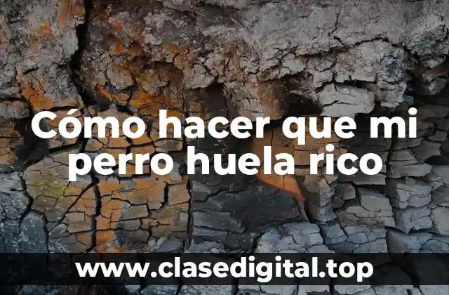 Cómo hacer que mi perro huela rico