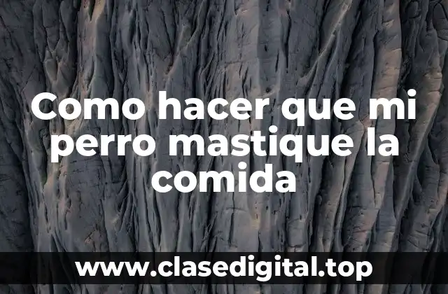 ¿Qué es mastique y por qué es importante que mi perro lo haga?