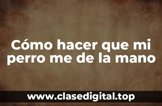 Cómo hacer que mi perro me de la mano