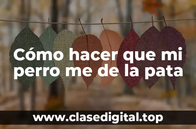 Cómo hacer que mi perro me de la pata