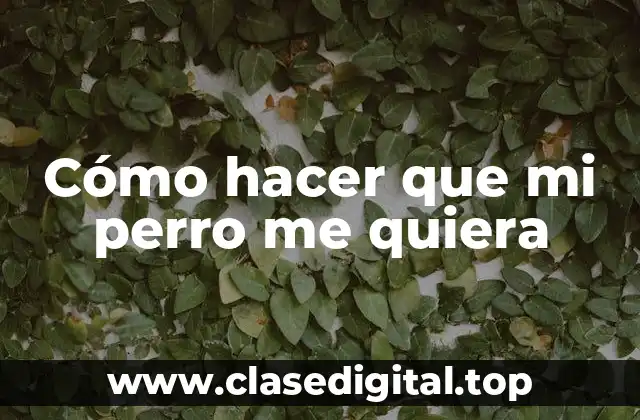 Cómo hacer que mi perro me quiera