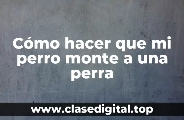 Cómo hacer que mi perro monte a una perra