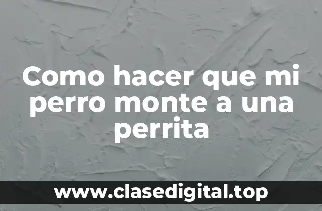 Como hacer que mi perro monte a una perrita