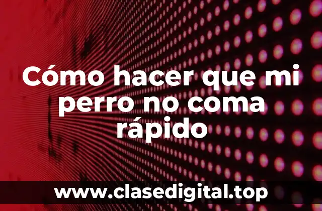 ¿Qué es comer rápido en perros y por qué es un problema?