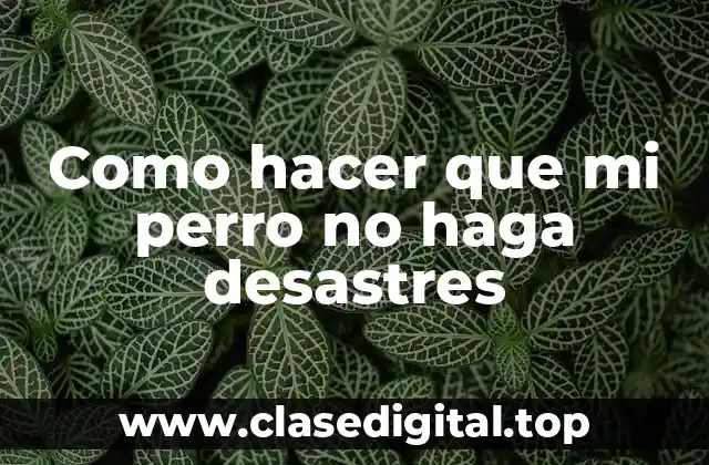 ¿Qué es un perro que no hace desastres?