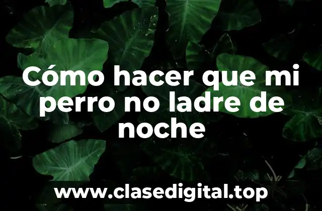 Cómo hacer que mi perro no ladre de noche