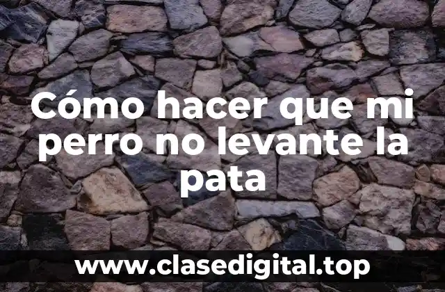 Cómo hacer que mi perro no levante la pata