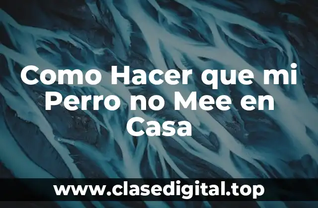 Como Hacer que mi Perro no Mee en Casa