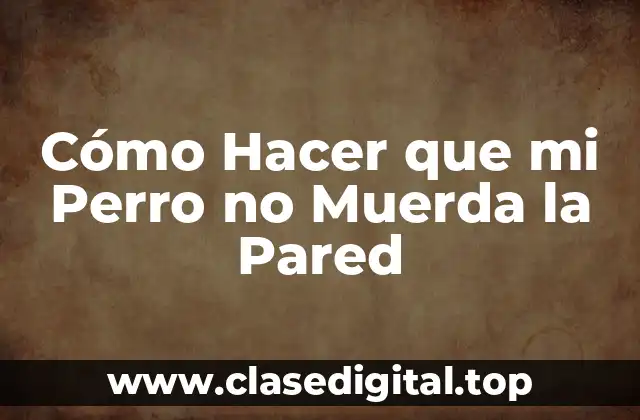 Cómo Hacer que mi Perro no Muerda la Pared