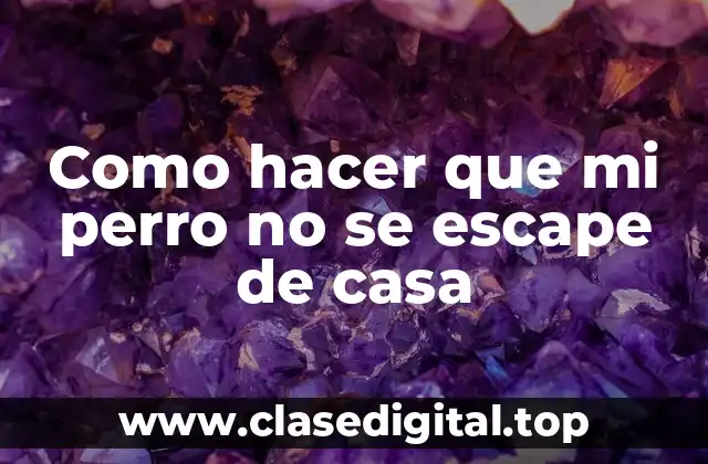 ¿Qué es un perro que se escapa de casa y cómo se puede prevenir?