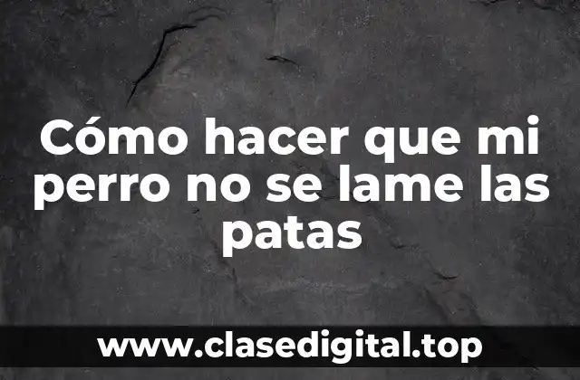 Cómo hacer que mi perro no se lame las patas