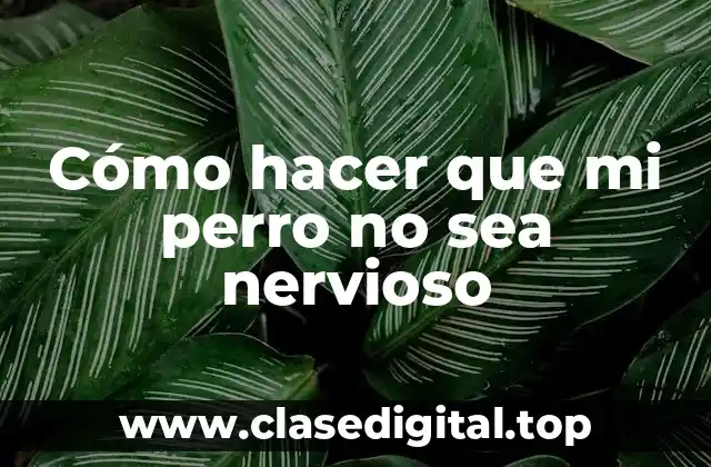 Cómo hacer que mi perro no sea nervioso