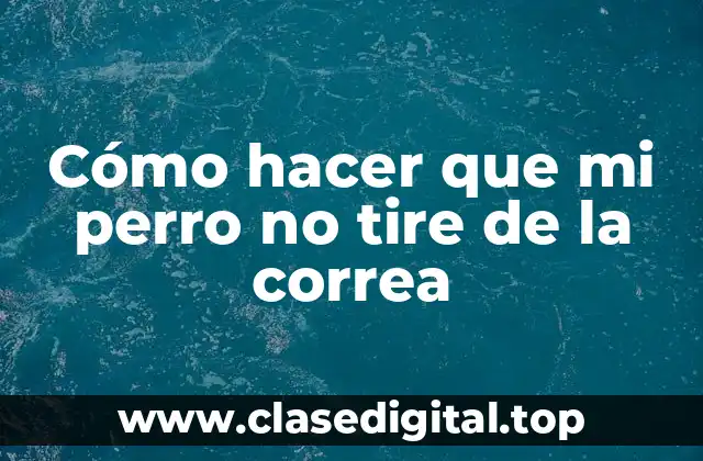 Cómo hacer que mi perro no tire de la correa