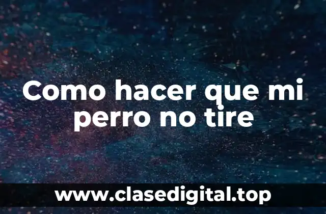 Como hacer que mi perro no tire