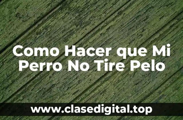 Como Hacer que Mi Perro No Tire Pelo