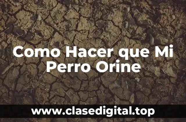 Como Hacer que Mi Perro Orine