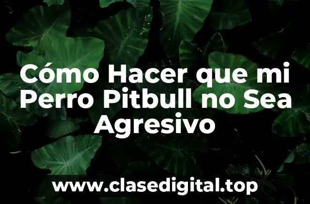 Cómo Hacer que mi Perro Pitbull no Sea Agresivo