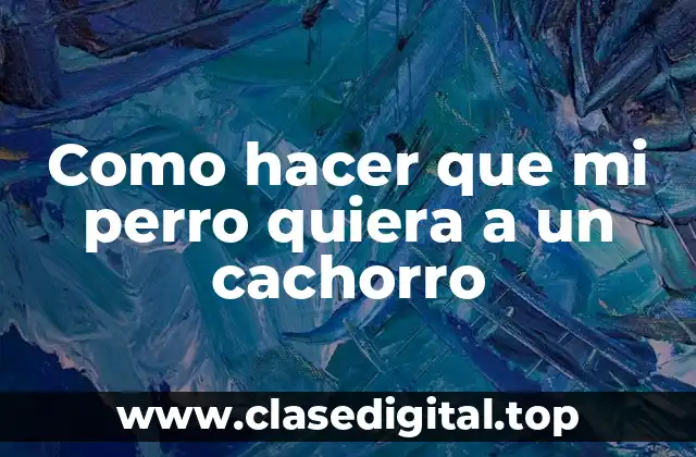 Como hacer que mi perro quiera a un cachorro