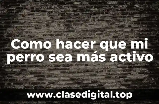 Como hacer que mi perro sea más activo