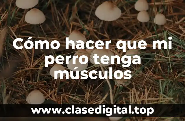 Cómo hacer que mi perro tenga músculos