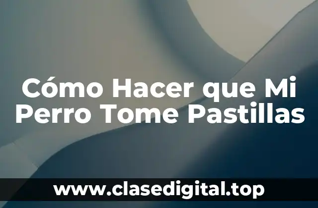¿Qué son las Pastillas para Perros y Cómo se Usan?
