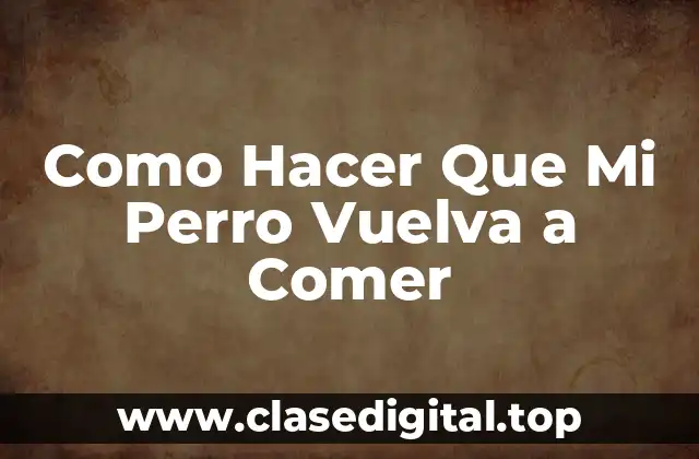 Como Hacer Que Mi Perro Vuelva a Comer