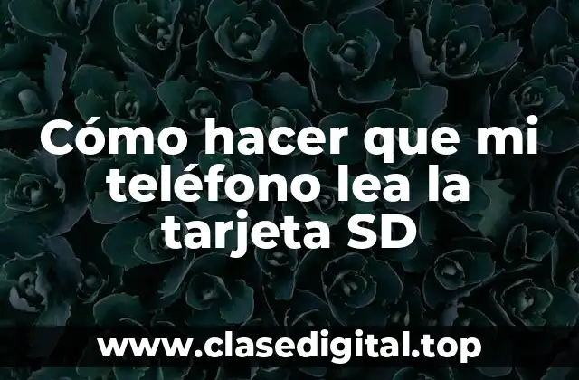 Cómo hacer que mi teléfono lea la tarjeta SD