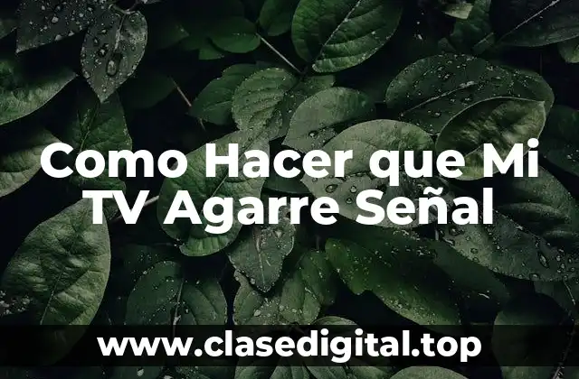 Como Hacer que Mi TV Agarre Señal