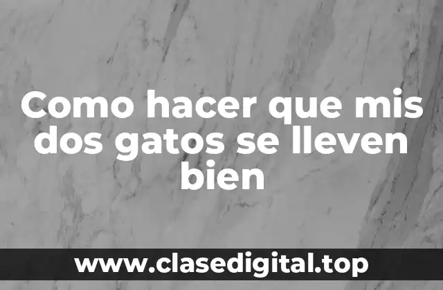 Como hacer que mis dos gatos se lleven bien
