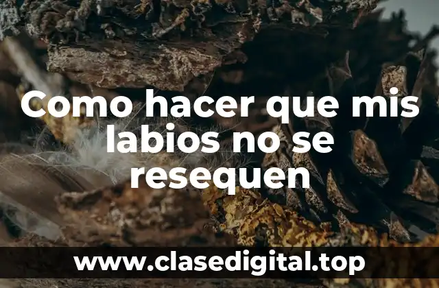 Como hacer que mis labios no se resequen