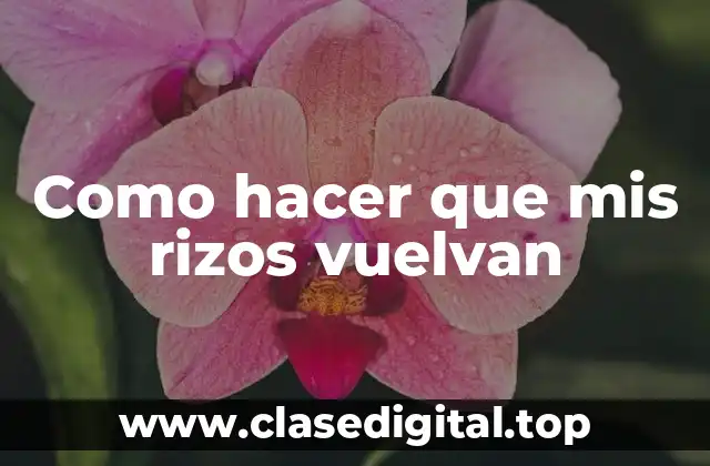 Como hacer que mis rizos vuelvan