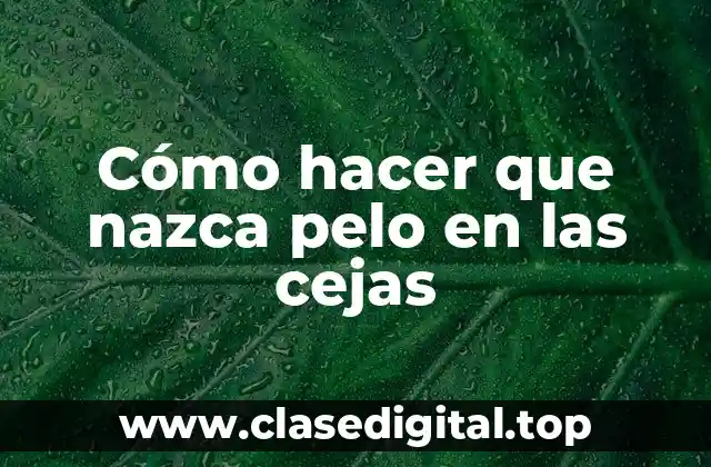 Cómo hacer que nazca pelo en las cejas