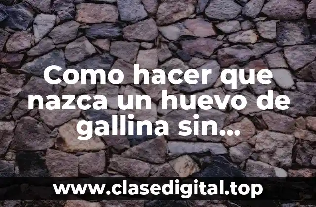 Como hacer que nazca un huevo de gallina sin incubadora